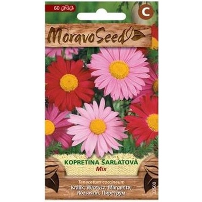 Semínka MoravoSeed Kopretina šarlatová, směs 32500