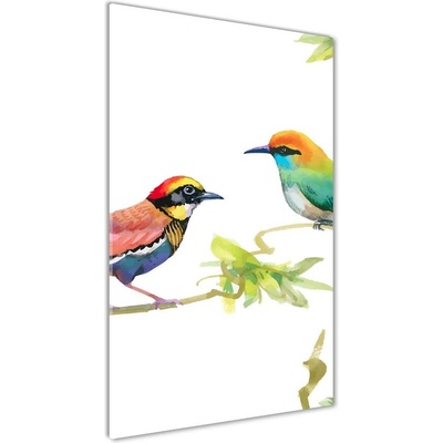 Vertikálny foto obraz sklo tvrdené Vtáky 50x100 cm