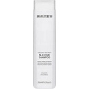 Selective Rebuilding No.4 Home Shampoo 250 ml
