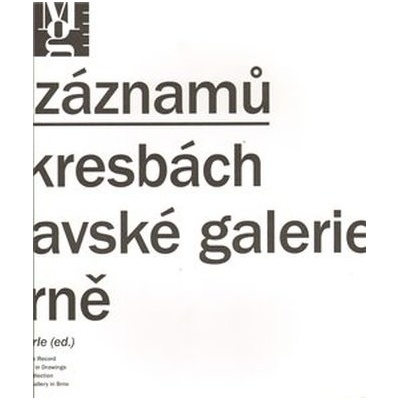 Možnosti záznamů