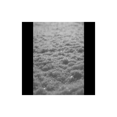 Paysage D'Hiver Schnee 2 LP