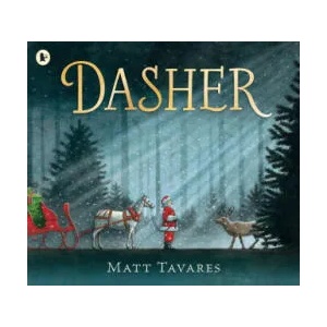 Dasher | Matt Tavares (ISBN: 9781406393057)