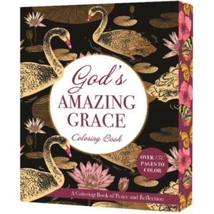 God's Amazing Grace (ISBN: 9780785849223)