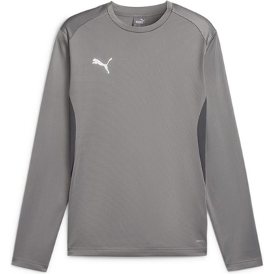 PUMA teamGOAL Training Sweatshirt