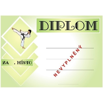VIZINGR Karate diplom A4 č.1