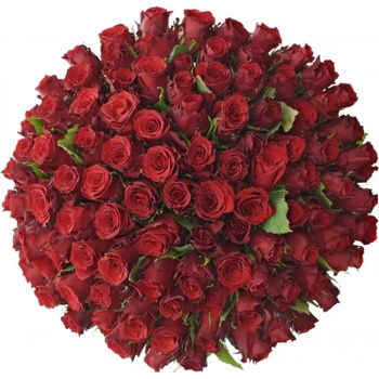 Kytice 100 rudých růží RED TORCH 70cm