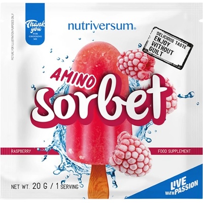 Nutriversum Amino Sorbet | Ready-to-Freeze Amino Ice Cream [20 грама] Малина