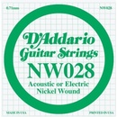 D'Addario NW 028