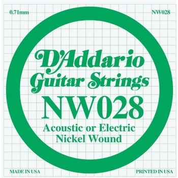 D'Addario NW 028