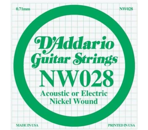 D'Addario NW 028