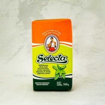 Yerba mate selecta mint 500 g