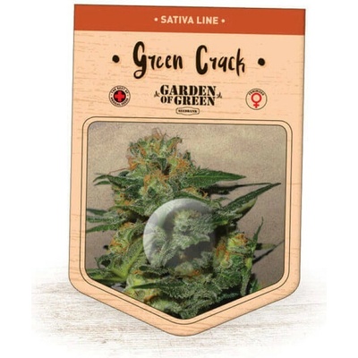 Garden Of Green Seedbank Green Crack semienka neobsahujú THC 15 ks