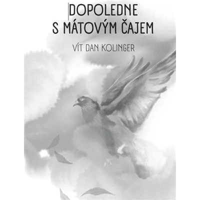 Dopoledne s mátovým čajem - Vít Dan Kolinger