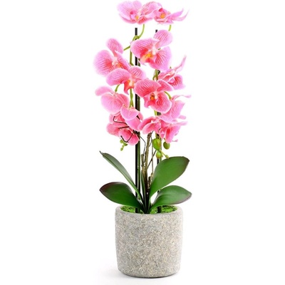 ORCHIDEA V KVETINÁČI 3VÝH. RUŽ 65CM