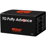Thermal Grizzly Термопаста Thermal Grizzly Putty Advanced, 30g (TG-P-A-30-R)