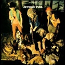 Hudba Jethro Tull - This Was LP
