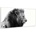 Klarstein Wonderwall Air Art Smart (HTR10-WAASm700WLio/10037926)