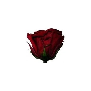 Darčeková stabilizovaná ruža - tmavo červená