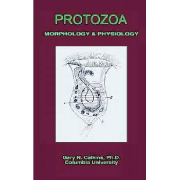 Image 1 of Protozoa Morphology & Physiology (Microbiology Series) | Gary Nathan Calkins