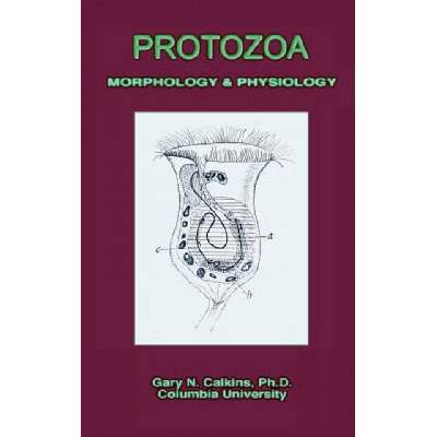 Protozoa Morphology & Physiology (Microbiology Series) | Gary Nathan Calkins