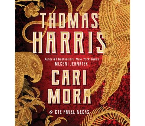 Cari Mora
