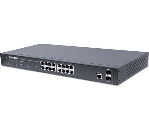 Intellinet 561198