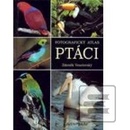 Ptáci