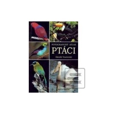 Ptáci