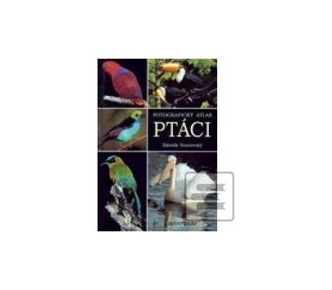 Ptáci