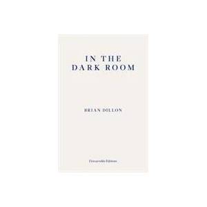 In the Dark Room | Brian Dillon (ISBN: 9781910695722)