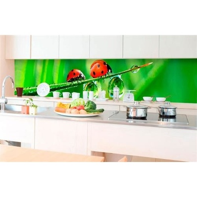 DIMEX KI-350-015 Samolepiace tapety za kuchynskú linku lienka rozmer 350 cm x 60 cm
