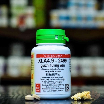 Sinecura XLA4.9-2499 guizhi fuling wan 60 tablet