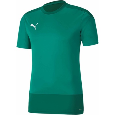 Puma teamGOAL 23 Training Jersey zelená