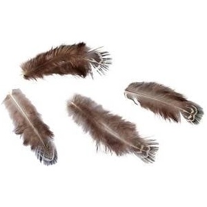 TITANUM Yellow feathers 3g basant brown-gray