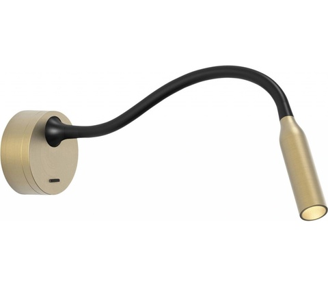 ASTRO 1435003 ,