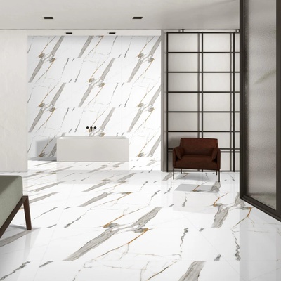 VARMORA ГРАНИТОГРЕС 60/120 carrara white - varmora - india