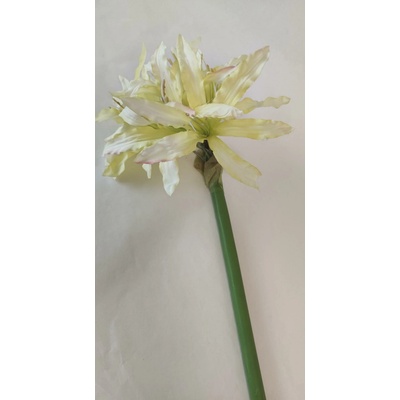 DecorGlass 2516