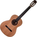 Prodipe Guitars STUDENT