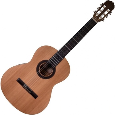 Prodipe Guitars STUDENT