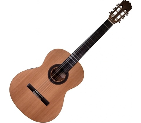 Prodipe Guitars STUDENT