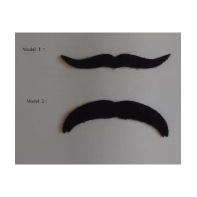 Knír Gaskoňský švihák Movember