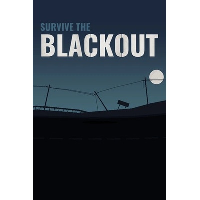 Baby Bison Games Survive the Blackout (PC)