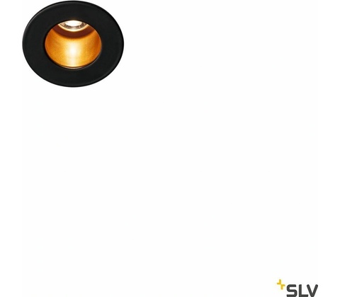 SLV 1000917