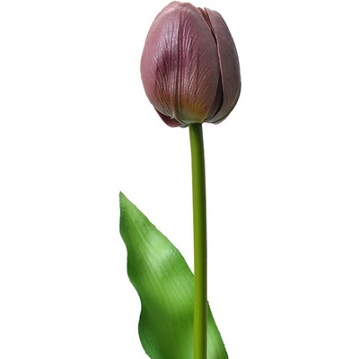 Umelá kvetina fialový tulipán Tulip Purple - 4*4*32 cm - Clayre & Eef