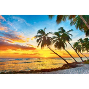 DIMEX ART Флизелинов фототапет залез на плажа 375 x 250 см