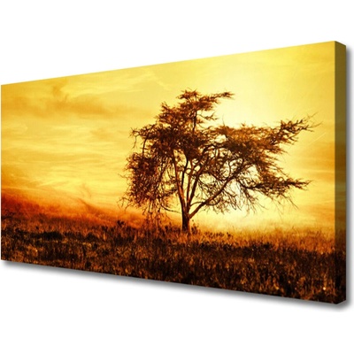 Obraz na plátně Strom Příroda 100x50 cm