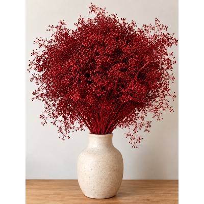 Stabilizovaná mini Gypsophila svazek/kytice vínová 90g-95g
