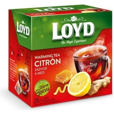 Loyd pyramida Hot Tea Pálivý Zázvor citrón a med 20 x 2 g