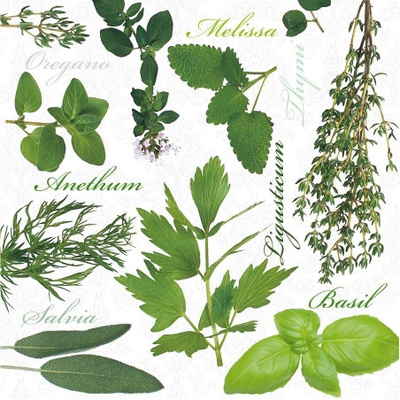 PAW ubrousky L Herbal Taste 33x33cm