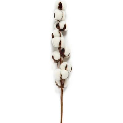 Dekorativní sušená bavlna Andrea House 68 cm, 100 g AX70126